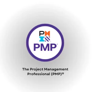 Project Management Professional(PMP)